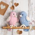 Love Birds Easy Crochet Kit Valentines