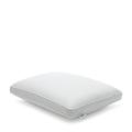 Sealy Memory Foam Bed Pillow, Standard