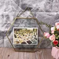 Cadre Photo hexagonal flottant suspendu en métal et verre Portrait Photo spécimen de plante 667A