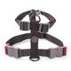 Jet M Walkabout Dog Harness 45Cm To 66Cm