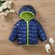 Baby Boy/Girl Thermal Lined Quilted Long-sleeve Hooded Zipper Winter Coat