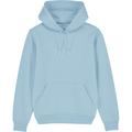 greenT Organic Cruiser Iconic Regular Fit Hoodie Sweatshirt M- Chest 38-40' (97-102cm)