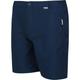 Regatta Mens Highton Mid Length Casual Summer Walking Shorts 36 - Waist 36' (91.5cm)