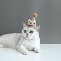 Wojeull Pet Cat Teddy Dog Birthday Hat Stereo Ball Ball Hat Plush Cartoon Doll Christmas Hat Headdress