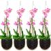 Orchid Planter Thai Bamboo Woven 4 Inch Hanging Orchid Basket with Bird Nest Style Plant Hangers for Trellis or Gazebo Indoor Outdoor Flower Planter (4 Packs)