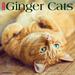 Just Ginger Cats 2024 12 X 12 Wall Calendar (Other)