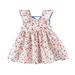 Toddler Girl Clothes Summer Baby Girl Sleeveless Dress Dresses Rched Floral Kids Toddler Baby Clothes Princess Summer Girls Dress Girls Dress&Skirt Girl Matching Dresses Girls Lace Long Dress