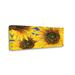 Stupell Industries Vivid Sunflower Blooms Trio Canvas Wall Art By Erica Christopher Canvas in Brown/Yellow | 13 H x 30 W x 1.5 D in | Wayfair