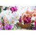 Ebern Designs Colorful Flower Orchids. Beautiful Orchidaceae Phalaenopsis Orchid by Besjunior - Wrapped Canvas Photograph Canvas | Wayfair