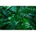 Bay Isle Home™ Tropical Green Monstera & Palms Leaf Background by Thanabodin Jittrong - Wrapped Canvas Photograph Canvas in White | Wayfair