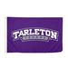 Desert Cactus Tarleton State University TSU Texans NCAA 100% Polyester Indoor Outdoor 3 feet x 5 feet Flag