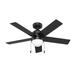 Hunter Fan Rogers 44 Inch Ceiling Fan with Light Kit - 51357