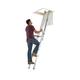 Werner 2 Section Aluminium Loft Ladder