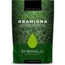 Emerald - Semi di erba per prato Gramigna - da 500 grammi - turf innovation