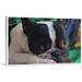 ARTCANVAS Boston Terrier Dog Breed Green Blue Canvas Art Print - Size: 18 x 12 (1.50 Deep)