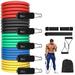 Resistance Bands Set (12pcs) Exercise Bands for Men and Women Workout Bands with Door Anchor Handles Carry Bag Legs Ankle Straps for Training Physical Therapy Home Workouts