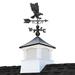 Trinx Coventry Vinyl Cupola w/ Black Aluminum roof & Black Aluminum Eagle Weathervane Aluminum/Metal in Black/Gray | 49 H x 19 W in | Wayfair