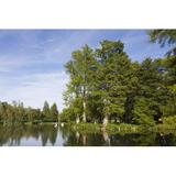 Winston Porter Lake in Castle of Chamarande - Wrapped Canvas Photograph Canvas | 20 H x 30 W x 1.25 D in | Wayfair 1B0E360D57584320BBA7361D5783558F
