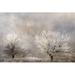 Red Barrel Studio® Winter Frost Poster Print By Allen Kimberly (24 X 18) # KARC1870 Paper in Gray | 18 H x 24 W x 1 D in | Wayfair