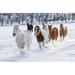 Millwood Pines Horse Drive In Winter On Hideout Ranch Shell Wyoming Herd Of Horses Running In Winters Snow Poster Print By Darrell Gulin (24 X 18) US51DGU0363 Paper | Wayfair