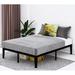 Alwyn Home Canajoharie 12" Platform Bed | 12 H x 60 W x 80 D in | Wayfair FE6D7E148EC74F32A4F908B207989555