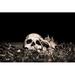 Trinx Lightpainted Skull - Wrapped Canvas Photograph Canvas in White | 24 H x 36 W x 1.25 D in | Wayfair 999A6E0290604F27B5AEA25EA093AF96