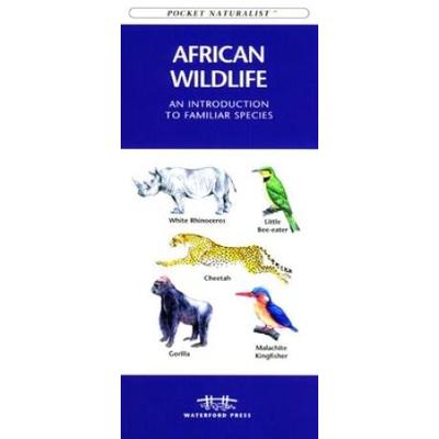Africa Birds: A Folding Pocket Guide To Familiar S...