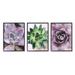 Purple Sprouting Succulents Close Up Botanical & Floral Graphic Art Black Framed Art Print Wall Art Set of 3