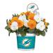 Miami Dolphins Cool Weather Flower Mix