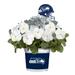 Seattle Seahawks Cool Weather Flower Mix