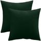 Velvet Style - Lot de 2 coussins en velours - housse et garnissage - Mesmal Vert foncé - Velours