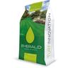 Emerald - Semi di erba per prato rustico - da 5 kg - turf innovation