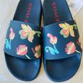 Coach Shoes | Coach Uli Sport Slide With Floral | Color: Blue | Size: 7