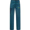 JACK WOLFSKIN Herren Hose GLASTAL PANTS M, Größe 54/S in Blau