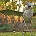 Large Metal Rocking Owl with Solar Eyes "Weston" in Antique Rust