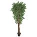 Nearly Natural 70 Variegated Ficus Artificial Tree UV Resistant (Indoor/Outdoor) - 6