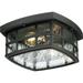 Copper Grove Stonington 2-Light Mystic Black Outdoor Flush Mount with Water Glass