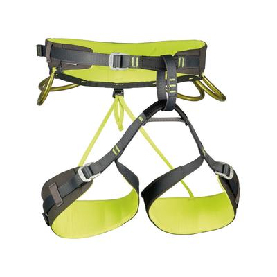 C.A.M.P. Energy CR 3 Harness Pack Grey/Lime Green Extra Small 2961XS2