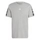 Adidas Herren T-Shirt (Short Sleeve) M Bl Tee, Medium Grey Heather, IC6806, XS