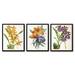 Red Barrel Studio® 3 Piece Wrapped Canvas & Framed Print Set - Fitch Orchid by New York Botanical Garden in Green/Yellow | 10 H x 8 W in | Wayfair