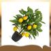 Primrue 15.7" Artificial Lemon Tree in Pot Plastic in Yellow | 15.7 H x 3.7 W x 3.7 D in | Wayfair BC615611BE61435A9FF5EE6F5CF42170