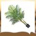 Primrue 47" Artificial Palm Tree in Pot Plastic | 47 H x 34 W x 34 D in | Wayfair DC864D52130245DB99C84DE478C0AD4D