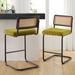 Mercer41 Krystalin Cane Back Counter & Bar Stool Upholstered/Velvet/Metal in Green/Black | 18.11 W x 20.08 D in | Wayfair