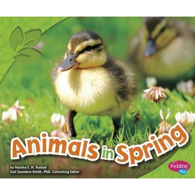 Animals In Spring