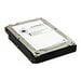 Axiom Enterprise Bare Drive - hard drive - 1 TB - SATA 6Gb/s