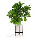 Fox & Fern Wooden Plant Stand for Plant Pots, Indoor Plant Stand, Sturdy & Adjustable Outdoor Plant Stand, Easy To Assemble Bamboo Flower Pot Plant Pot Stand, Eco-Friendly Plant Stands Indoor (Single)