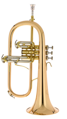 B&S 3145G-L Challenger I