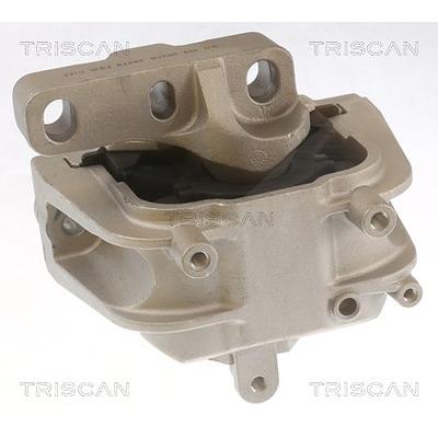 Triscan Lagerung, Motor [Hersteller-Nr. 850529143] für Audi, Skoda, VW Image