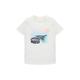 TOM TAILOR Jungen 1036062 Kinder T-Shirt mit Print, 12906-Wool White, 104/110