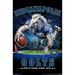 NFL Indianapolis Colts - End Zone 17 Wall Poster 14.725 x 22.375